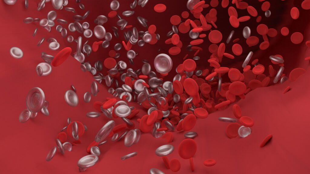 Leucocytes taux trop bas ou trop eleve